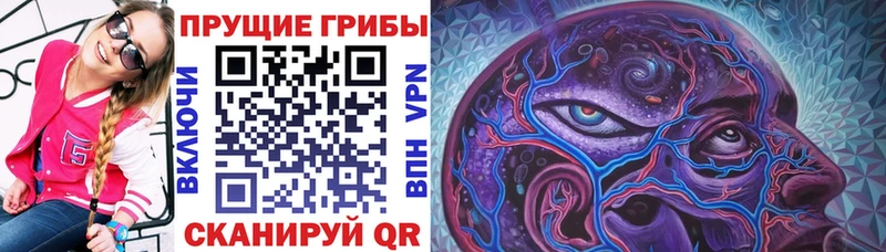 мега зеркало  продажа наркотиков  Вятские Поляны  Псилоцибиновые грибы мухоморы 