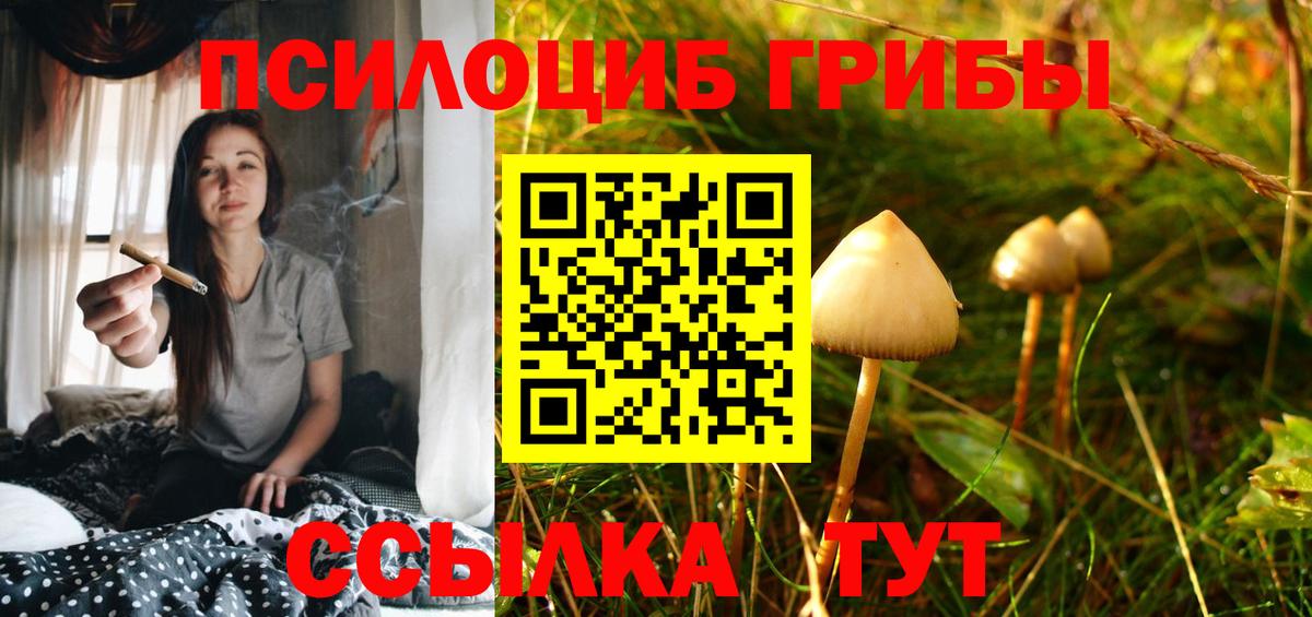 Вятские Поляны  Псилоцибиновые грибы Psilocybe  Галлюциногенные грибы ЛСД  Вход с VPN 